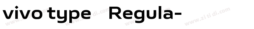 vivo type 简 Regula字体转换